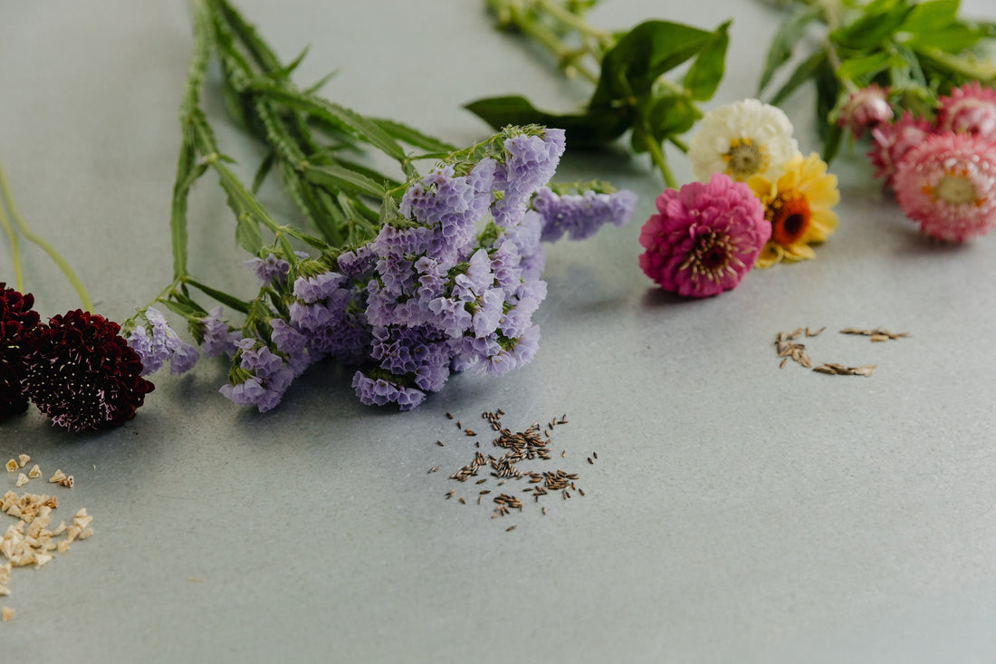 Stratification: Giving Seeds a Head Start