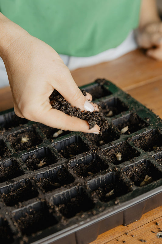 Seed Sowing Extra: Understanding Stratification, Scarification, Pricking Out & Hardening Off