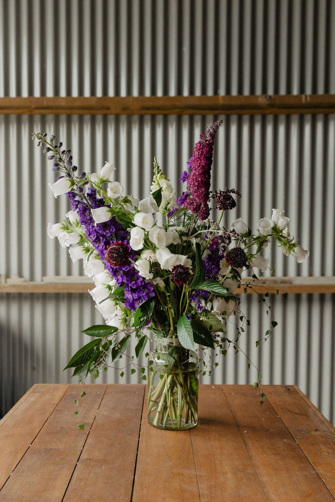 What Are Hardy Annuals (and Why Late Autumn Is the Sweet Spot)