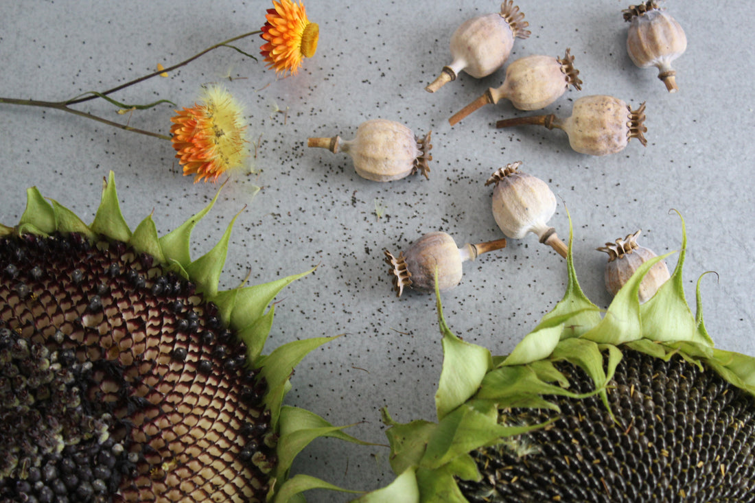 The Floral Dream Extract - Seed Saving