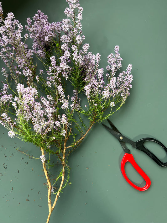 Florists Scissors