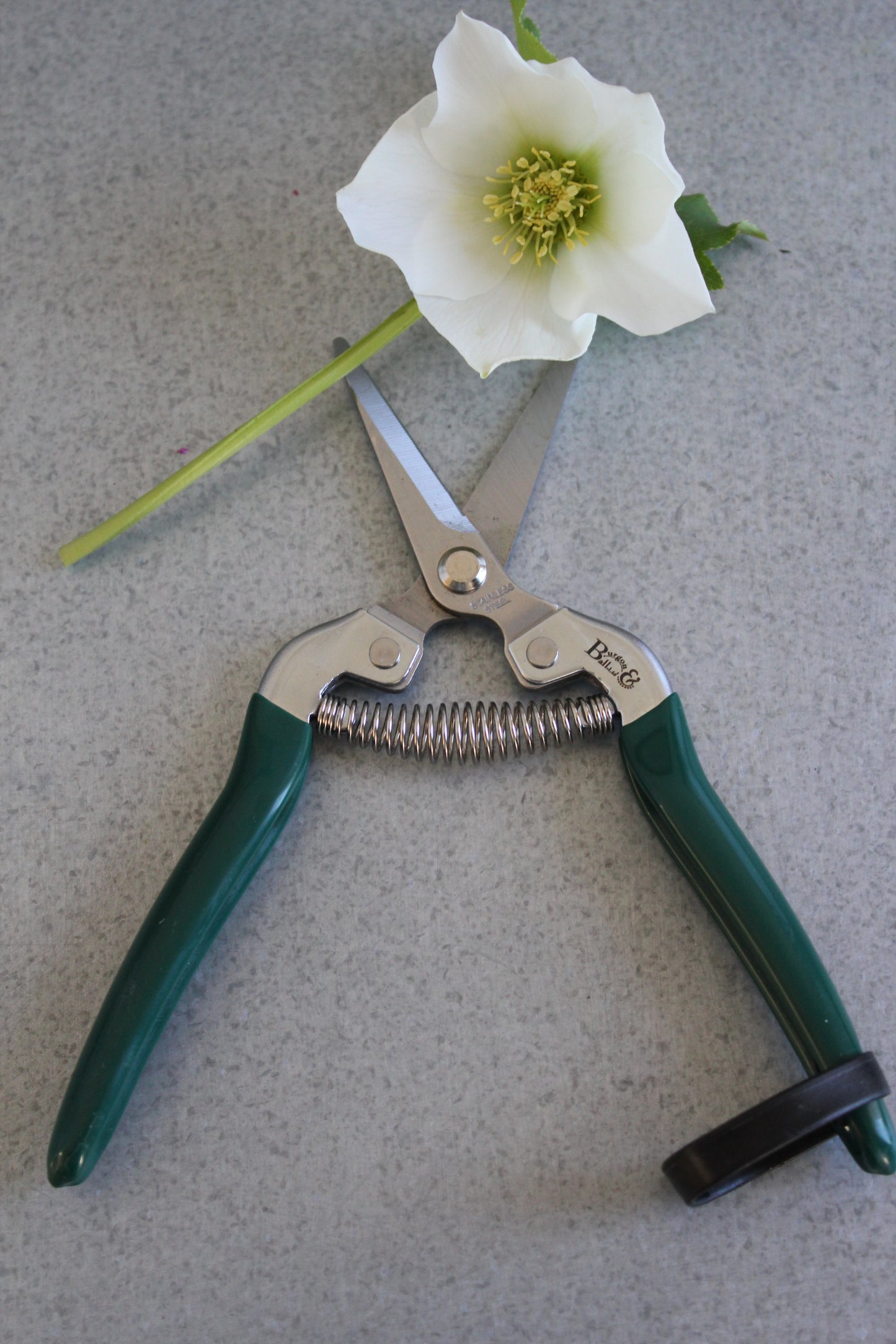 Burgon and Ball - Flower and Fruit Snips