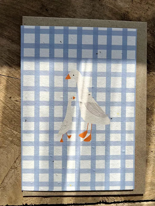 Ducks Plantable Card