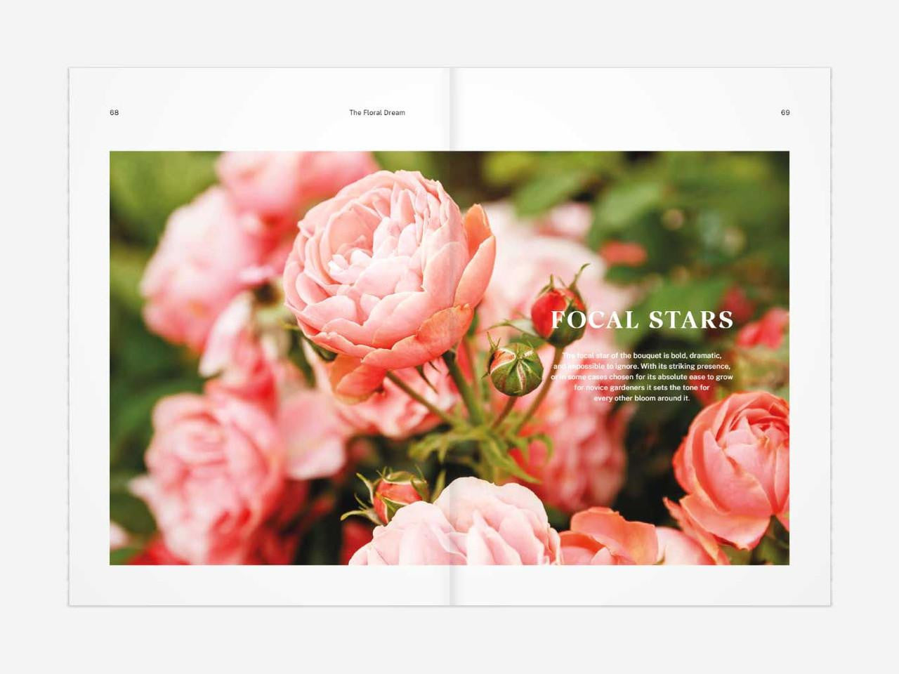 The Floral Dream by Olivia McCord